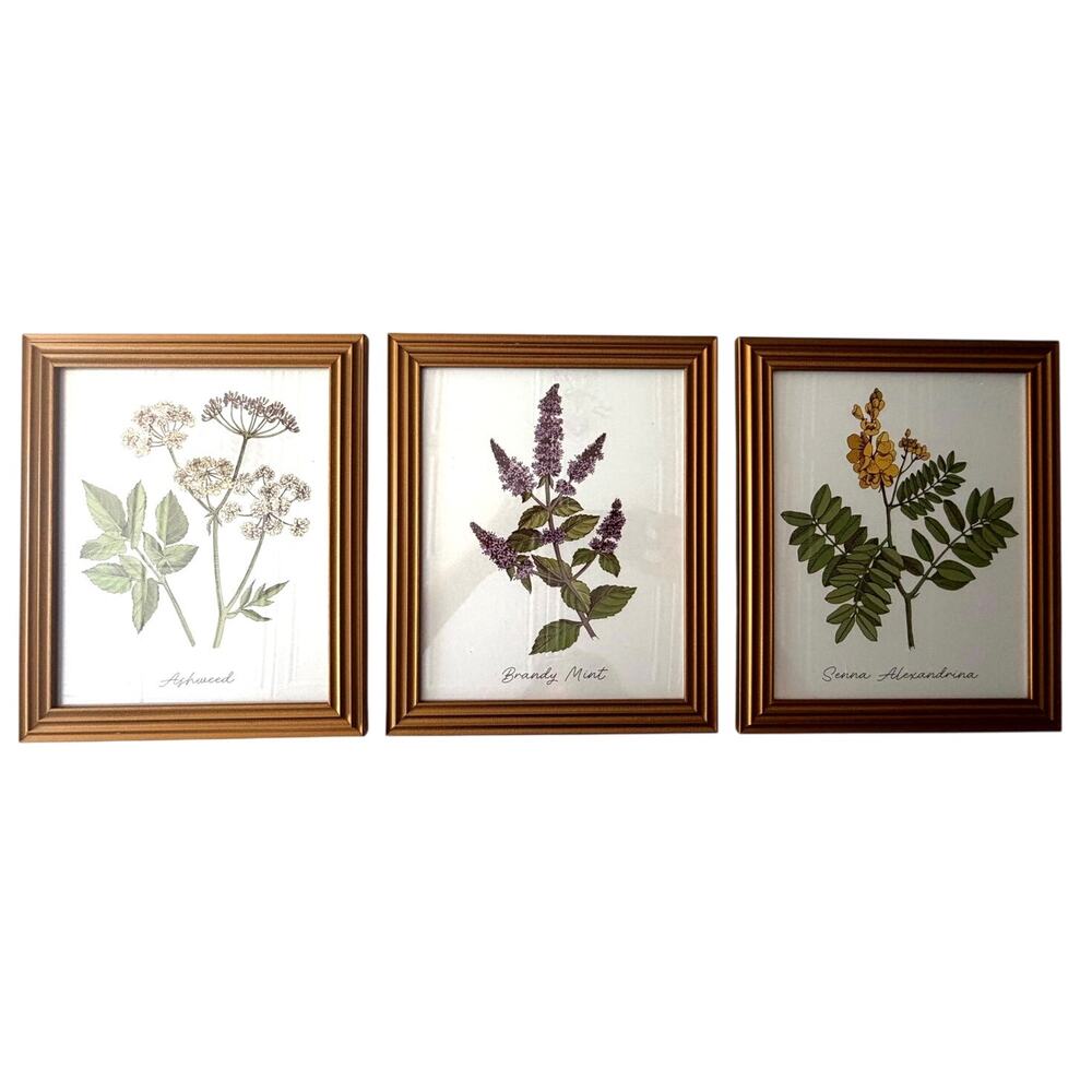 New Vibrant Wildlife herbal floral print wall art group bronze frames full set/3